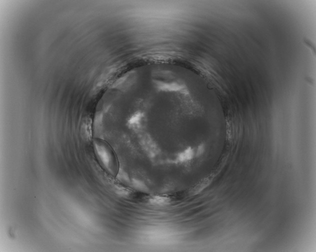 X0000099500718200806051123