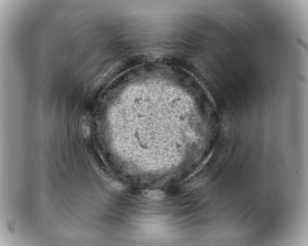 X0000099500719200806051123