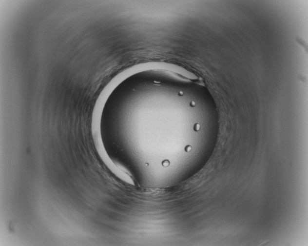 X0000099500720200806051123