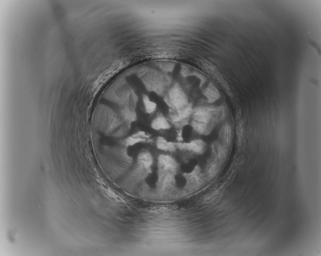 X0000099500721200806051122