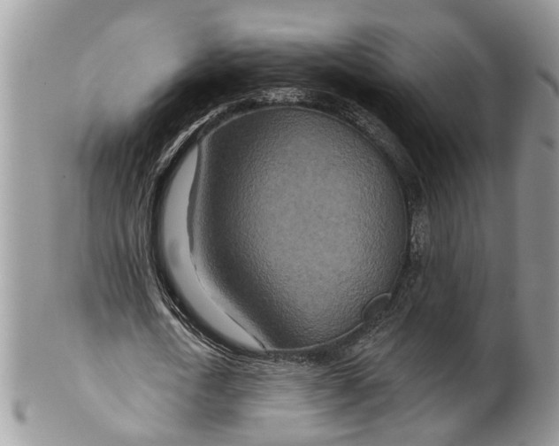 X0000099500722200806051122