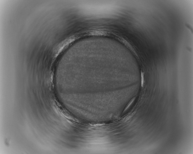 X0000099500723200806051122