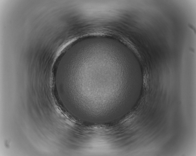 X0000099500724200806051122