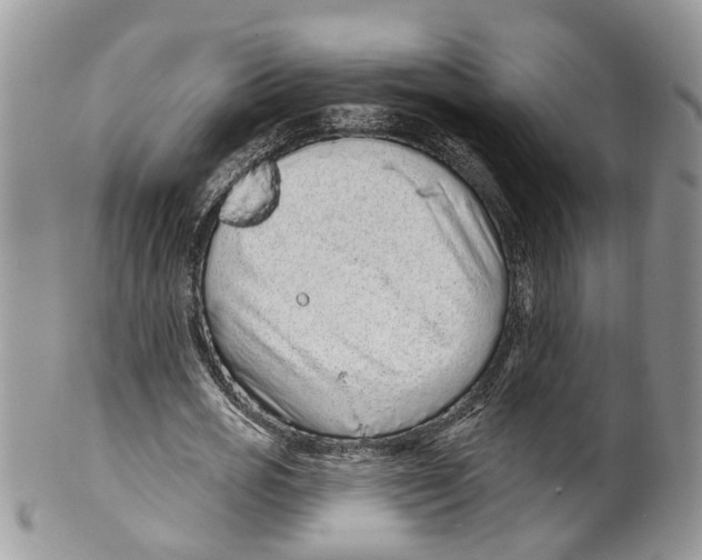 X0000099500725200806051122