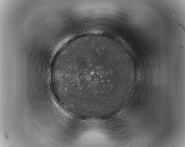 X0000099500726200806051122