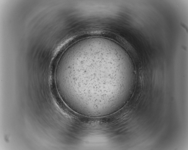 X0000099500728200806051122