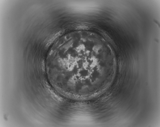 X0000099500729200806051122