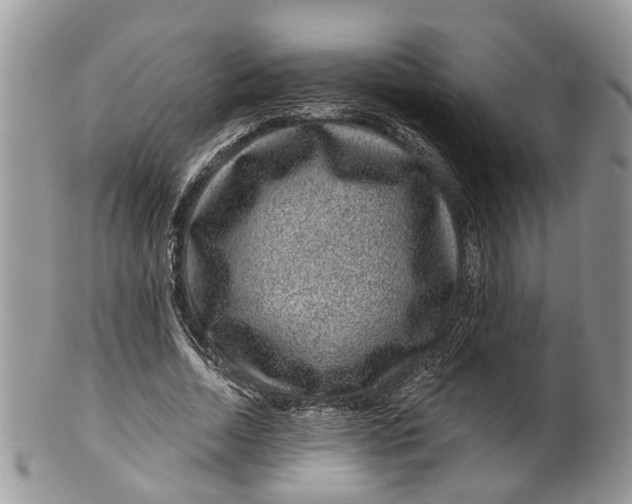 X0000099500730200806051122