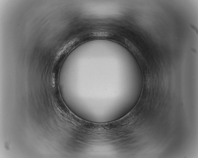 X0000099500731200806051122