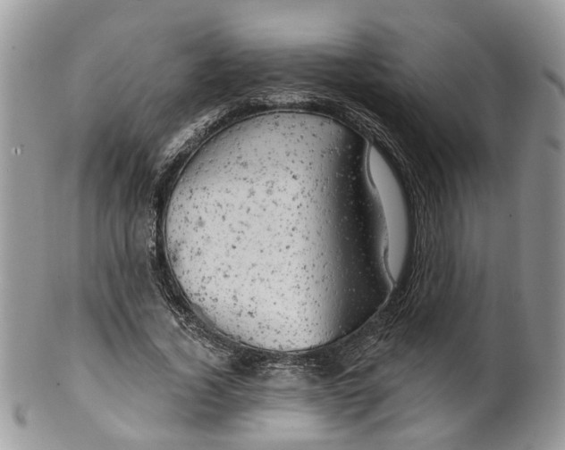 X0000099500732200806051122