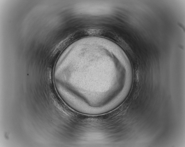 X0000099500733200806051122