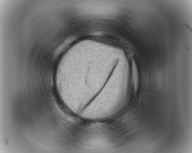 X0000099500734200806051122