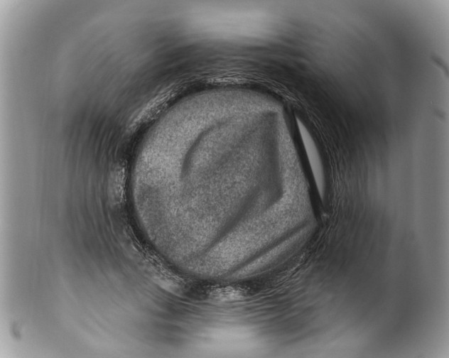 X0000099500735200806051122