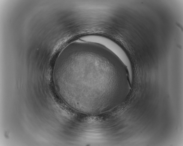 X0000099500736200806051122