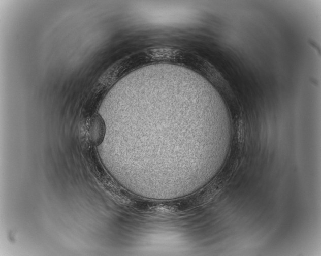 X0000099500737200806051122