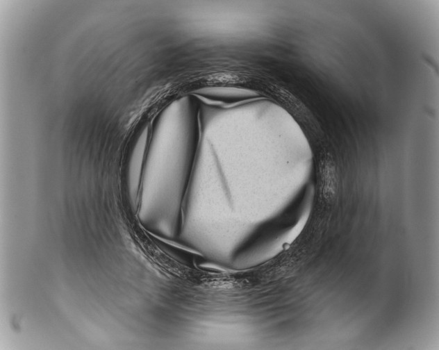 X0000099500738200806051122