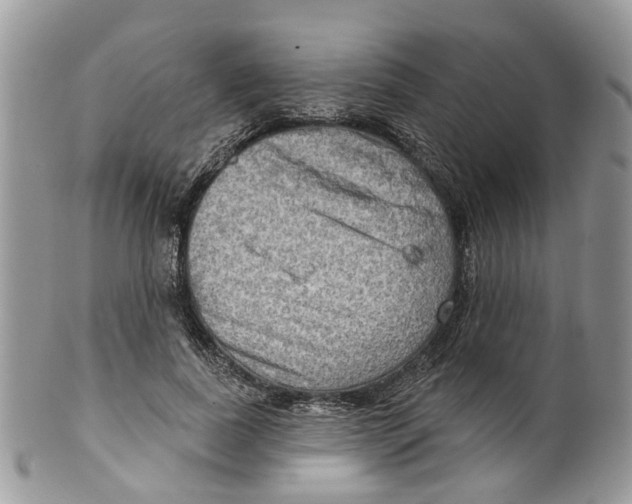 X0000099500739200806051122