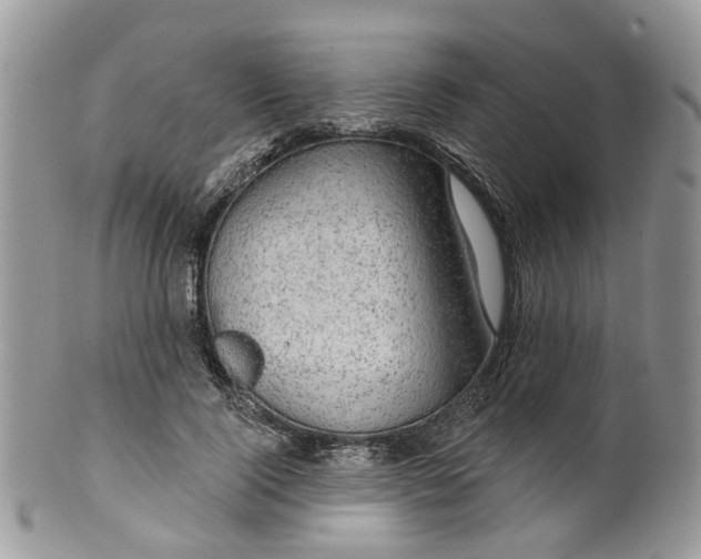 X0000099500740200806051122