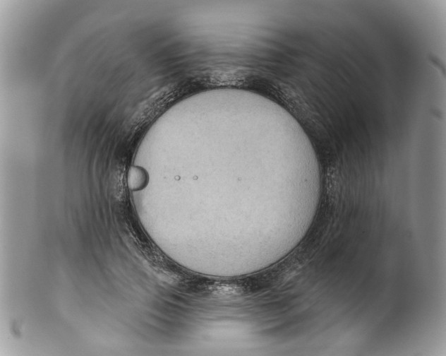 X0000099500741200806051122