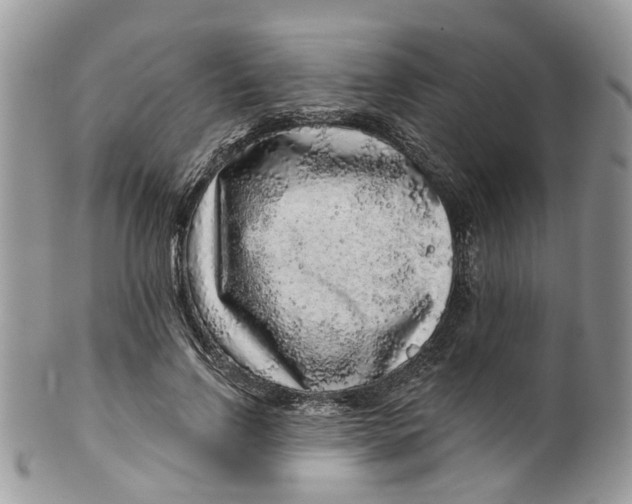 X0000099500742200806051122