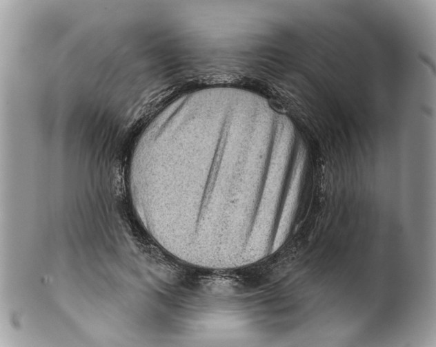 X0000099500743200806051122