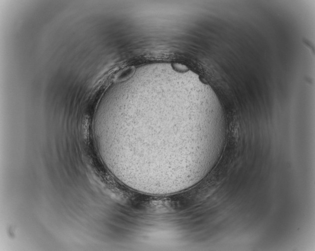 X0000099500744200806051122