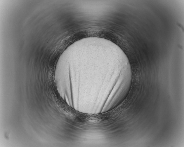 X0000099500745200806051122