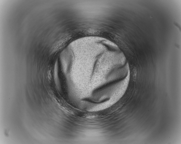 X0000099500746200806051122