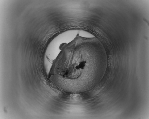 X0000099500748200806051122