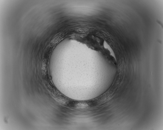 X0000099500749200806051122