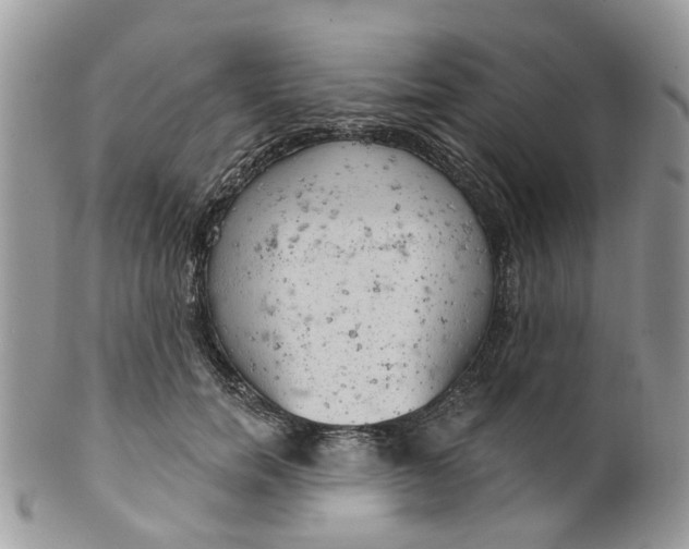 X0000099500750200806051122