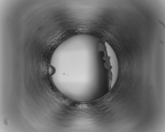 X0000099500751200806051122