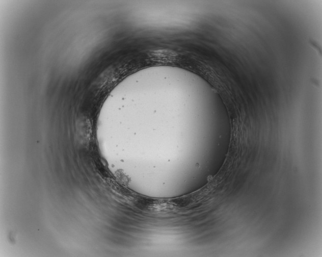 X0000099500752200806051122