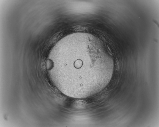 X0000099500753200806051122