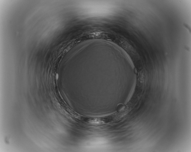 X0000099500754200806051122