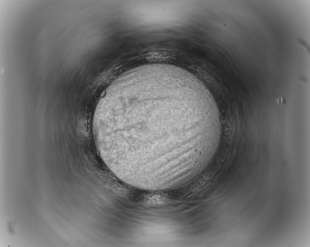 X0000099500755200806051122