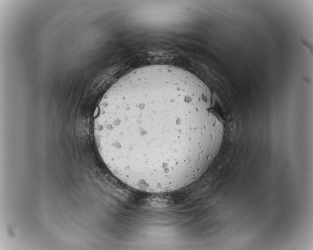 X0000099500756200806051122