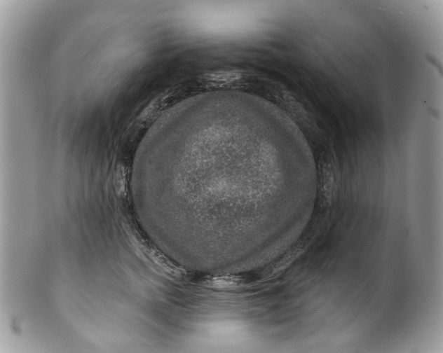 X0000099500758200806051122