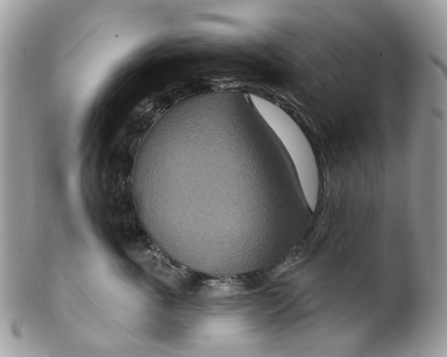 X0000099500763200806051123