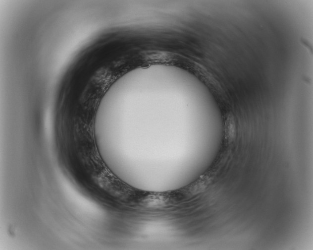 X0000099500764200806051123