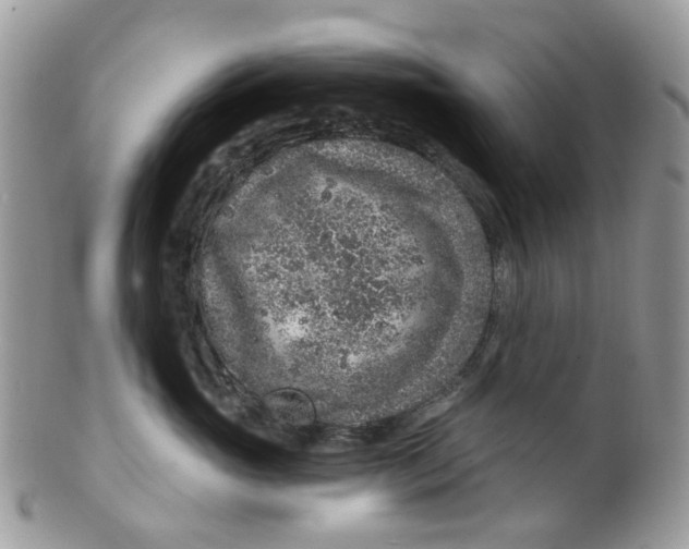 X0000099500765200806051123