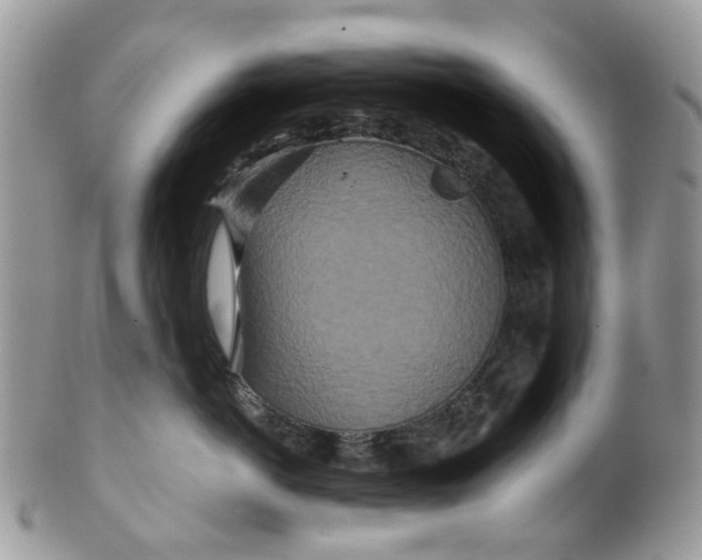 X0000099500766200806051123