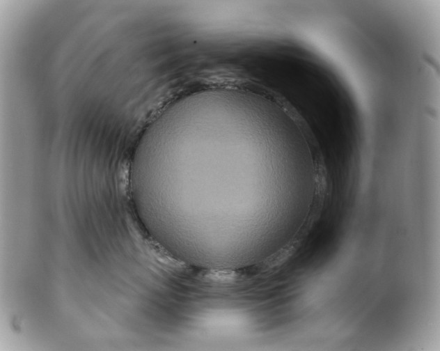 X0000099500767200806051123