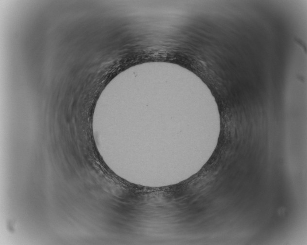 X0000099500769200806051122