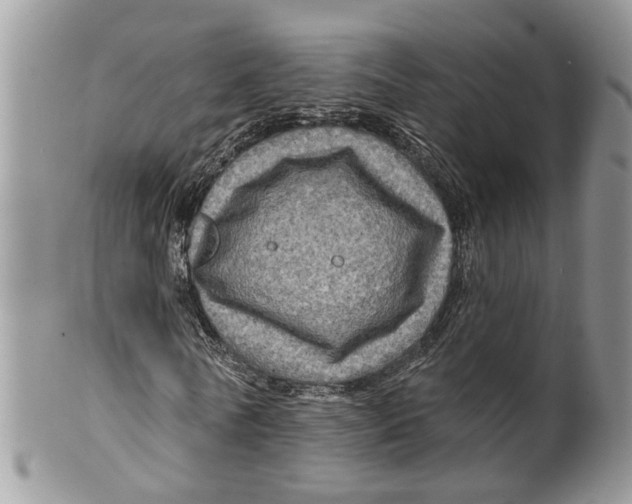 X0000099500770200806051122