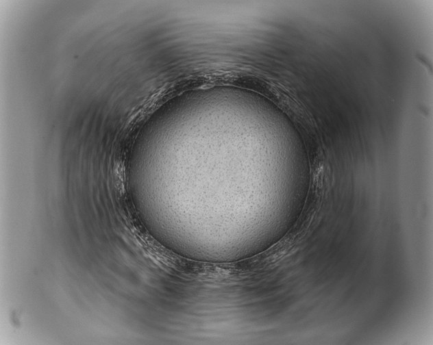 X0000099500772200806051122