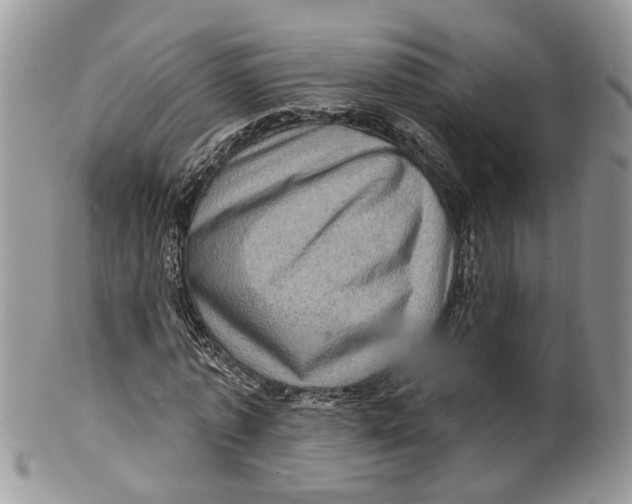 X0000099500773200806051122