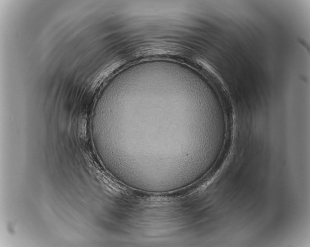 X0000099500777200806051122