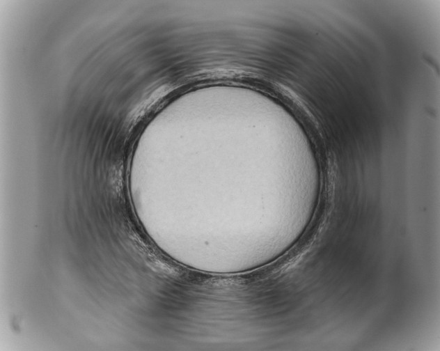 X0000099500778200806051122