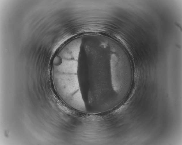 X0000099500779200806051122